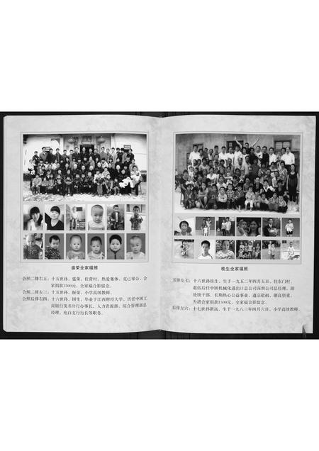 广西李氏-博白文地东门李氏族谱达泉公支系.pdf电子版预览图4