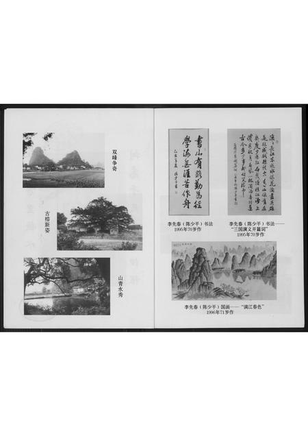 广西李氏-广西荔浦李氏族谱.pdf电子版预览图3