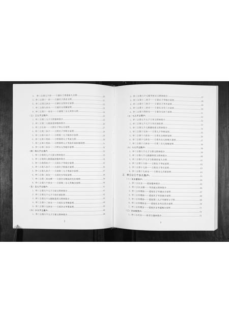 广西李氏-李仲三公家族谱.pdf电子版预览图2