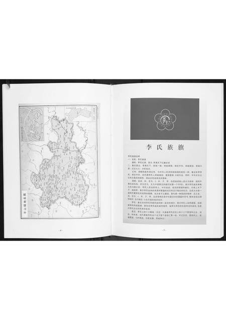 广西李氏-李仲三公家族谱.pdf电子版预览图4