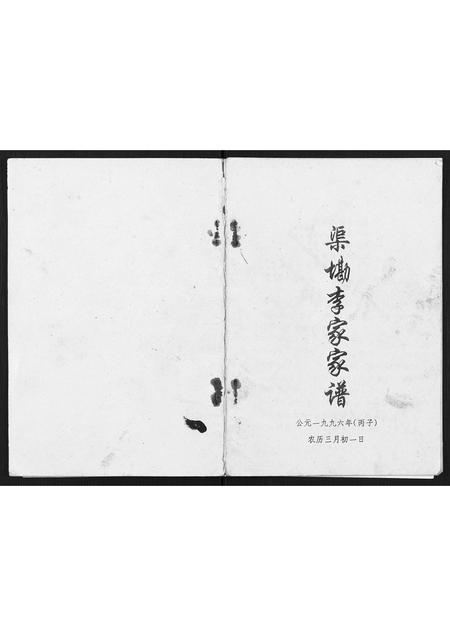 广西李氏-渠墈李家家谱.pdf电子版缩略图