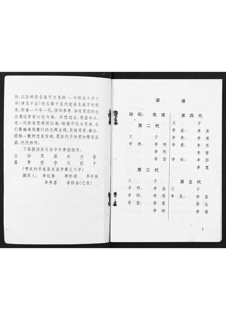 广西李氏-渠墈李家家谱.pdf电子版预览图2