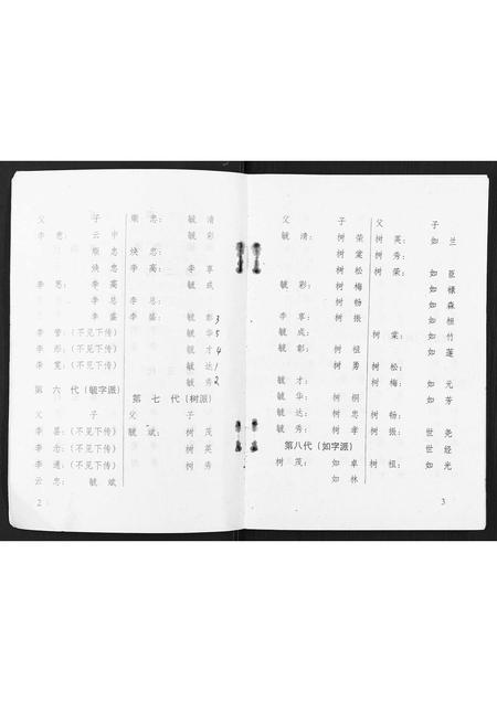 广西李氏-渠墈李家家谱.pdf电子版预览图3