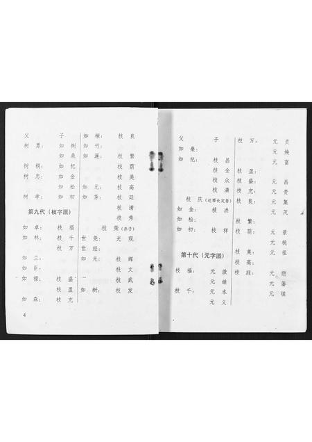 广西李氏-渠墈李家家谱.pdf电子版预览图4