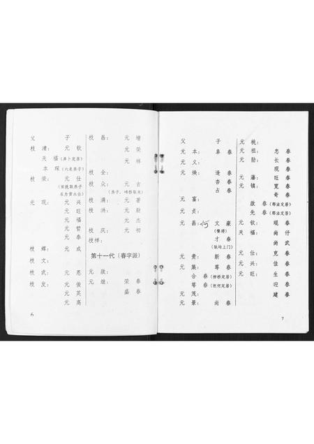 广西李氏-渠墈李家家谱.pdf电子版预览图5