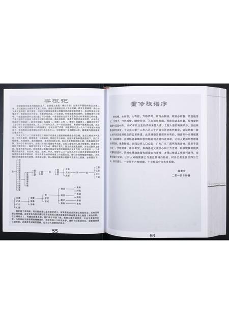 广西李氏-科甲李氏族谱.pdf电子版预览图3