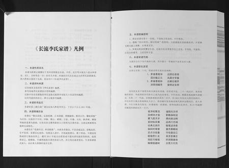 广西李氏-长流李氏家谱.pdf电子版预览图5