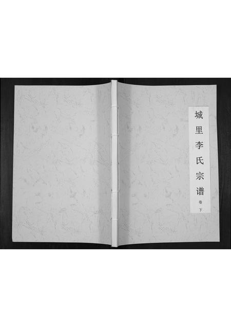 河北李氏-城里李氏宗谱[2卷].pdf电子版缩略图
