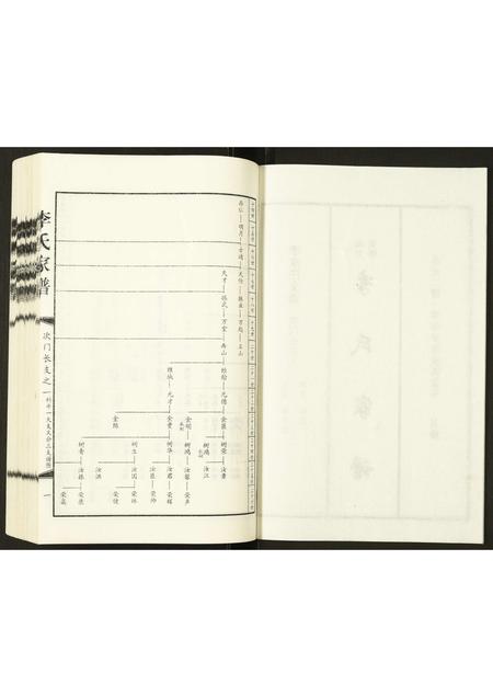 河北李氏-李氏家谱.pdf电子版预览图2