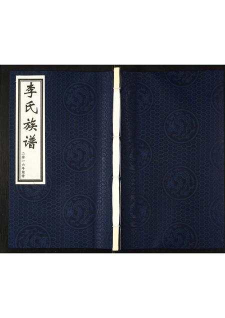 河北李氏-李氏族谱.pdf电子版缩略图