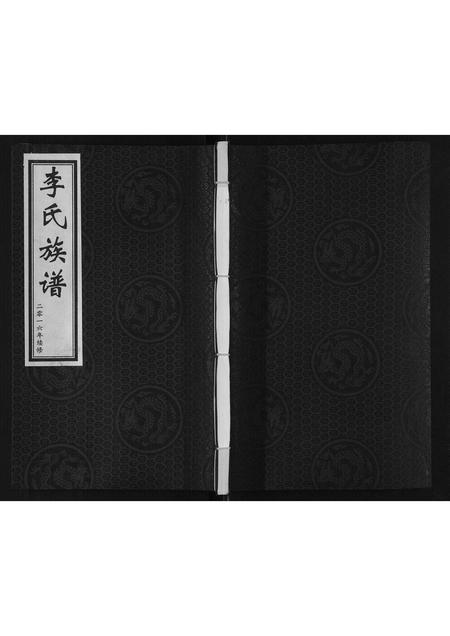 河北李氏-李氏族谱.pdf电子版缩略图