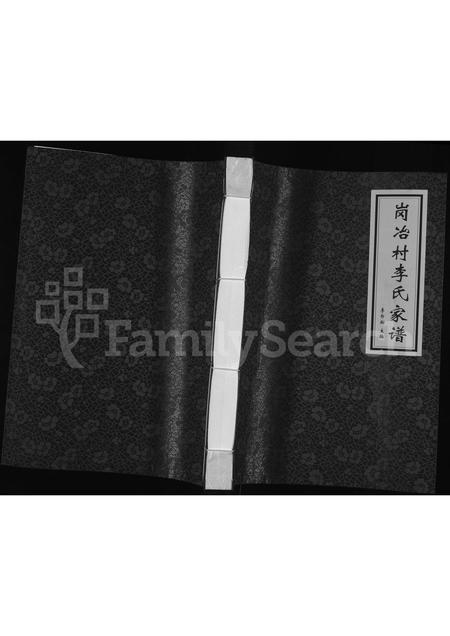 河北李氏-岗冶村李氏家谱 [不分卷].pdf电子版缩略图