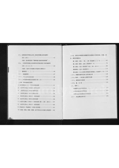 陜西李氏-陕西安康李氏家谱.pdf电子版预览图4