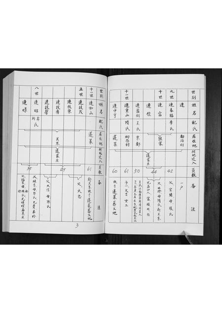 山东连氏-连氏家册.pdf电子版预览图4