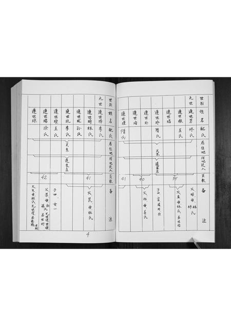 山东连氏-连氏家册.pdf电子版预览图5