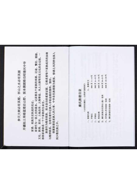 山东廉氏-廉氏族谱.pdf电子版预览图2