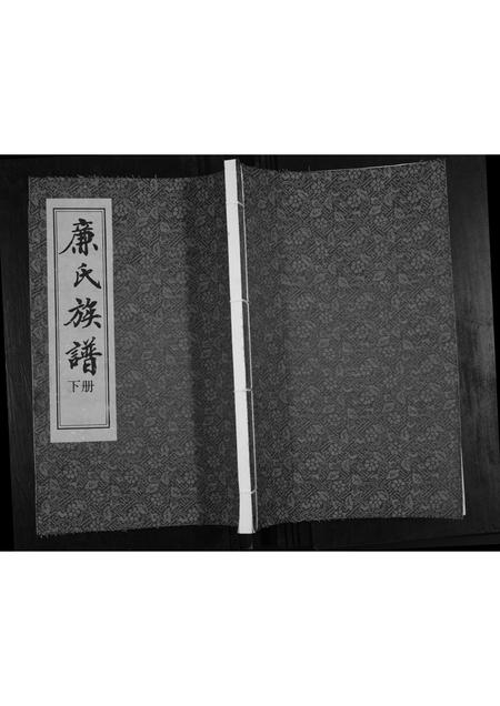 山东廉氏-廉氏族谱[3卷].pdf电子版缩略图