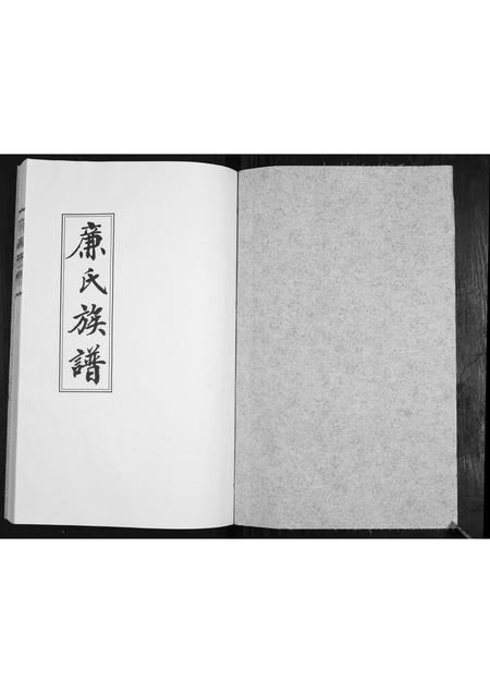 山东廉氏-廉氏族谱[3卷].pdf电子版预览图1