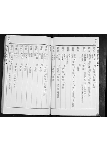 山东廉氏-廉氏族谱[3卷].pdf电子版预览图3