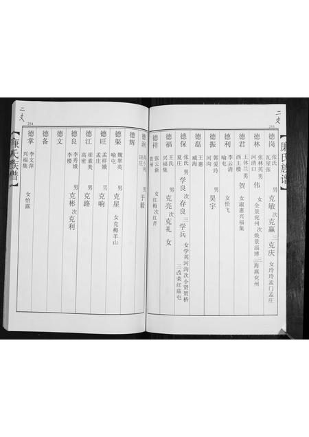 山东廉氏-廉氏族谱[3卷].pdf电子版预览图4