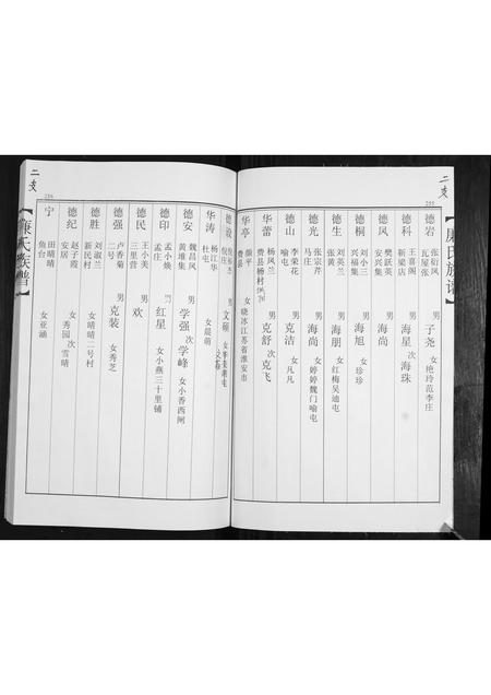 山东廉氏-廉氏族谱[3卷].pdf电子版预览图5