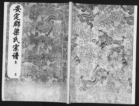 山东梁氏-安定郡梁氏族谱[26卷].pdf电子版缩略图