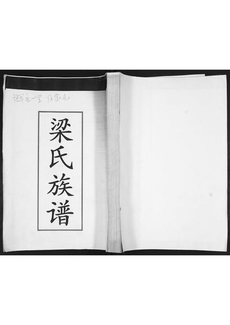 山东梁氏-梁氏族谱.pdf电子版缩略图