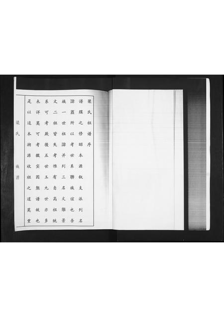 山东梁氏-梁氏族谱.pdf电子版预览图2