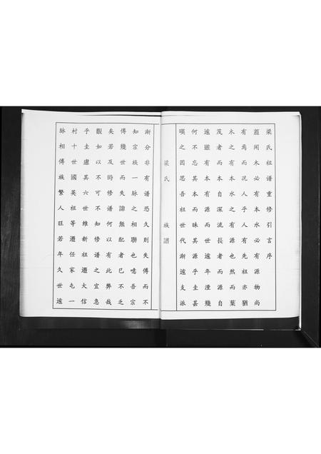 山东梁氏-梁氏族谱.pdf电子版预览图5