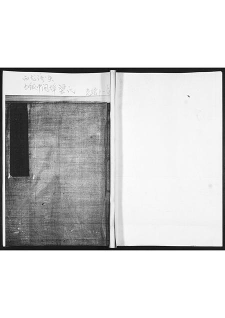 山东梁氏-梁氏族谱.pdf电子版缩略图