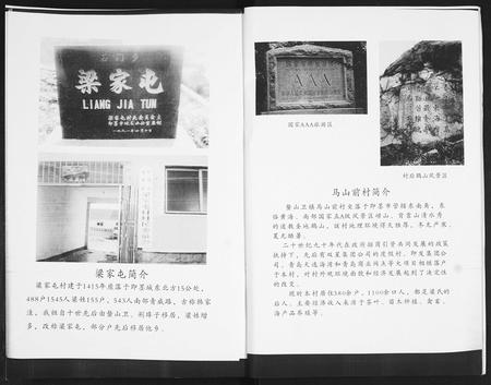 山东梁氏-梁氏族谱[2卷].pdf电子版预览图5