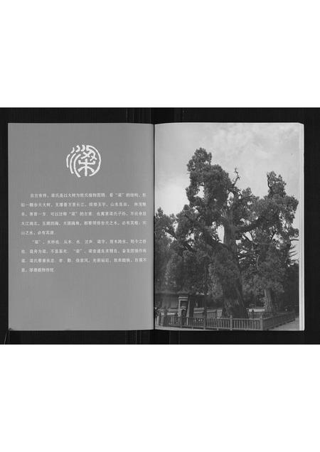 广西梁氏-梁氏五百年家谱.pdf电子版预览图1