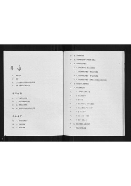 广西梁氏-梁氏五百年家谱.pdf电子版预览图4