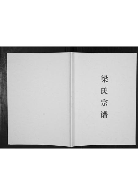 广西梁氏-梁氏宗谱[不分卷].pdf电子版缩略图