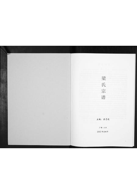 广西梁氏-梁氏宗谱[不分卷].pdf电子版预览图1