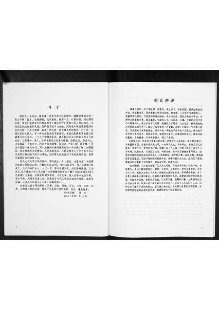 广西梁氏-梁氏宗谱[不分卷].pdf电子版预览图2