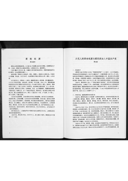 广西梁氏-梁氏宗谱[不分卷].pdf电子版预览图4