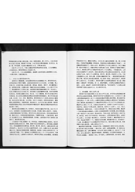 广西梁氏-梁氏宗谱[不分卷].pdf电子版预览图5