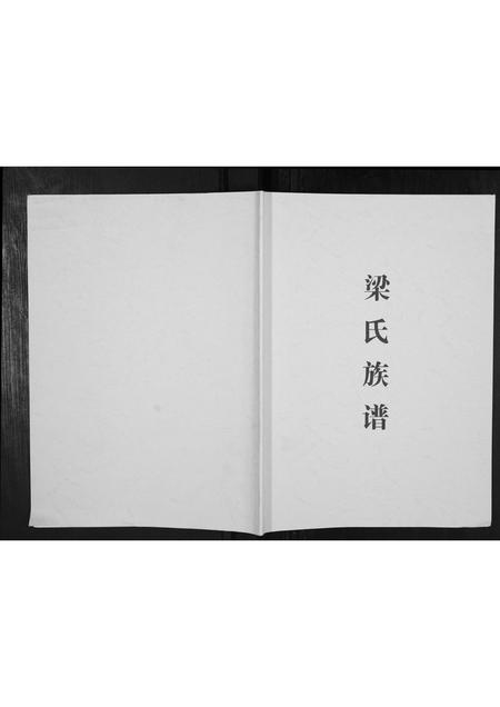 广西梁氏-梁氏宗谱[不分卷].pdf电子版缩略图