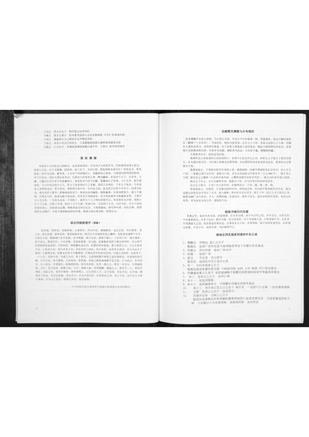 广西梁氏-梁氏宗谱[不分卷].pdf电子版预览图4