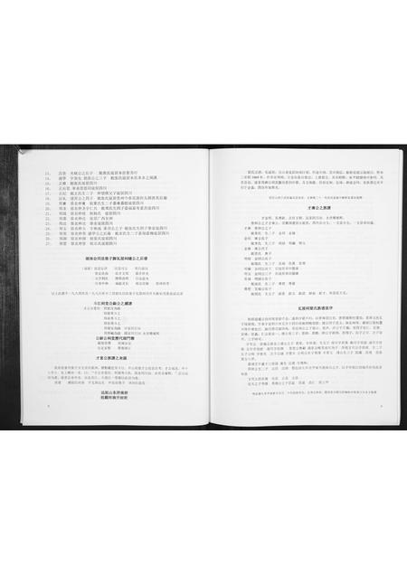 广西梁氏-梁氏宗谱[不分卷].pdf电子版预览图5