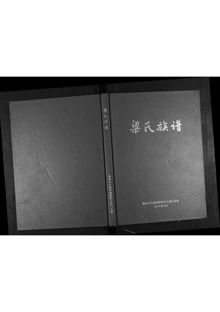 广西梁氏-梁氏族谱.pdf电子版缩略图
