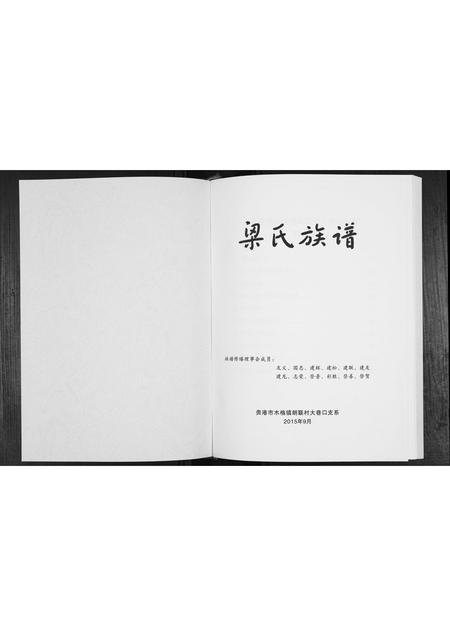 广西梁氏-梁氏族谱.pdf电子版预览图1