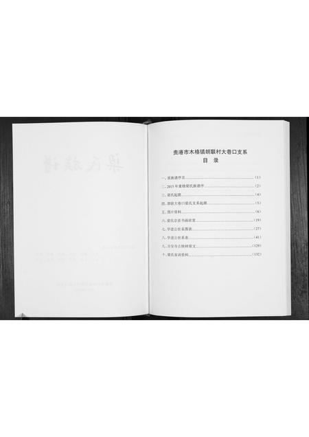 广西梁氏-梁氏族谱.pdf电子版预览图2