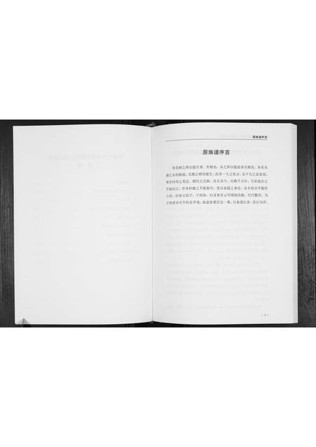 广西梁氏-梁氏族谱.pdf电子版预览图3