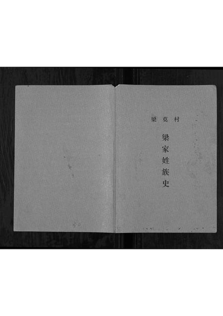 广西梁氏-梁莫村梁家姓族史[不分卷].pdf电子版缩略图