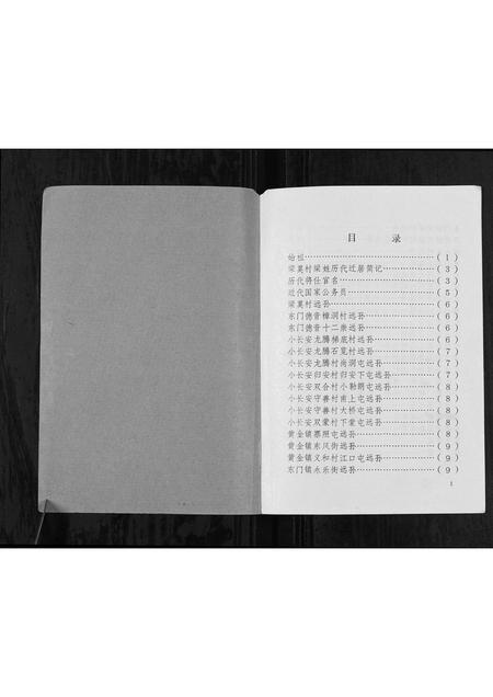 广西梁氏-梁莫村梁家姓族史[不分卷].pdf电子版预览图1