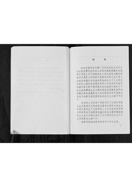 广西梁氏-梁莫村梁家姓族史[不分卷].pdf电子版预览图3