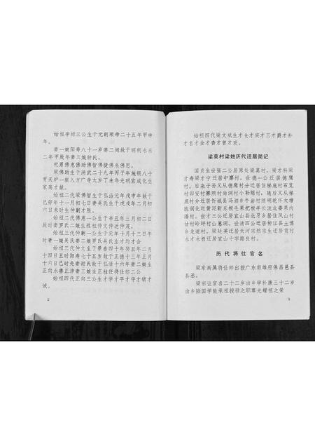 广西梁氏-梁莫村梁家姓族史[不分卷].pdf电子版预览图4