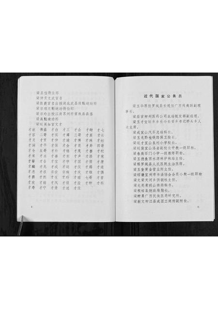 广西梁氏-梁莫村梁家姓族史[不分卷].pdf电子版预览图5